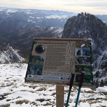 Pensiunea Piatra Mandrutului Scarisoara (Alba)