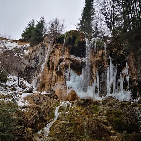 Pensiunea Piatra Mandrutului ファームステイ スカリショアラ