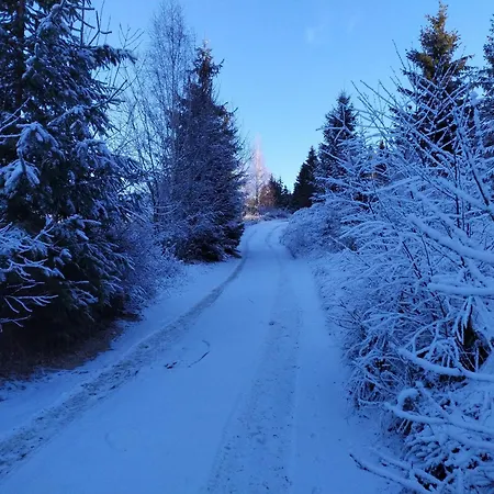 Pensiunea Piatra Mandrutului Scarisoara (Alba)