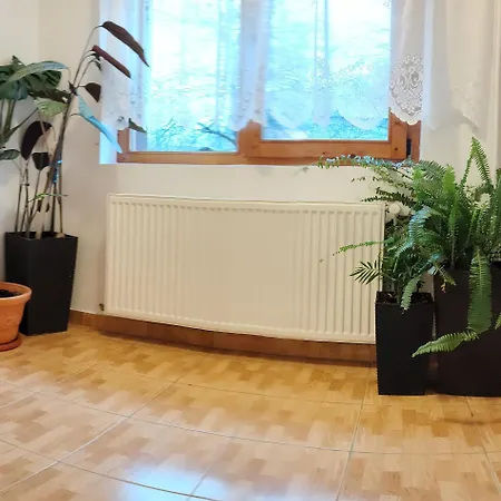 Pensiunea Piatra Mandrutului ファームステイ スカリショアラ