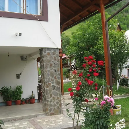 Farm stay Pensiunea Piatra Mandrutului *