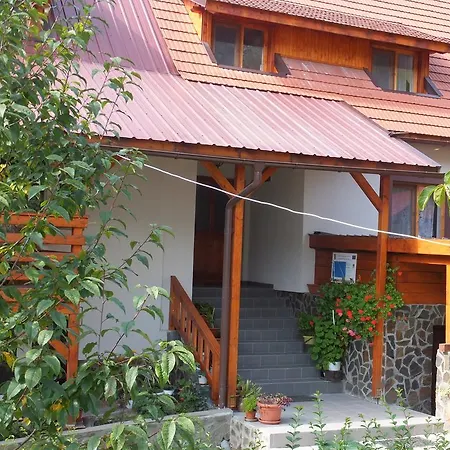 ファームステイ Pensiunea Piatra Mandrutului