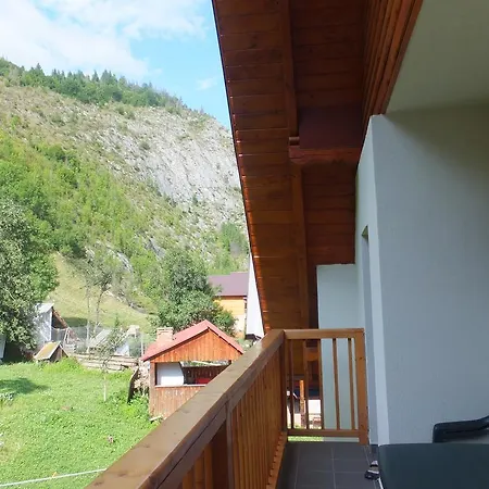 Pensiunea Piatra Mandrutului Farm stay Scarisoara (Alba)