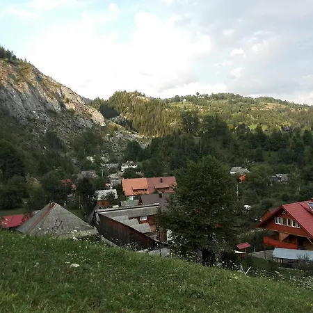Pensiunea Piatra Mandrutului Scarisoara (Alba)