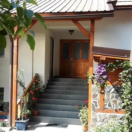 ファームステイ Pensiunea Piatra Mandrutului *