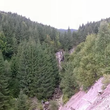 Pensiunea Piatra Mandrutului *