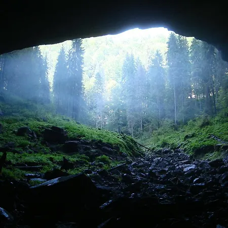 Pensiunea Piatra Mandrutului * Scarisoara (Alba)