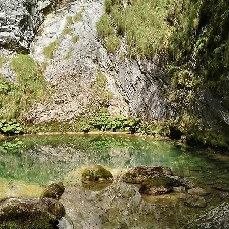 Pensiunea Piatra Mandrutului スカリショアラ
