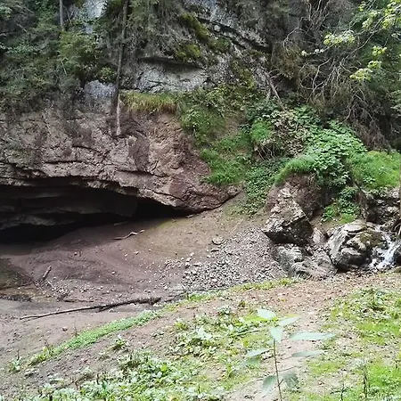 Pensiunea Piatra Mandrutului ファームステイ