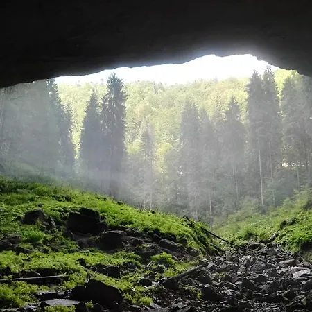 ファームステイ Pensiunea Piatra Mandrutului