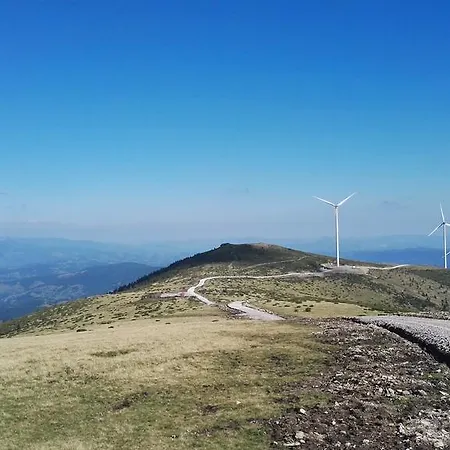 Pensiunea Piatra Mandrutului