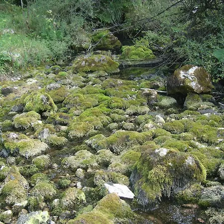 Pensiunea Piatra Mandrutului *