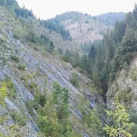 Pensiunea Piatra Mandrutului
