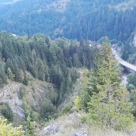 Pensiunea Piatra Mandrutului * スカリショアラ